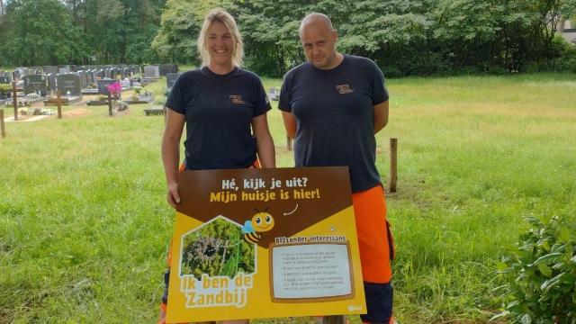 Zandbijen graven huisjes op begraafplaats Kruisven